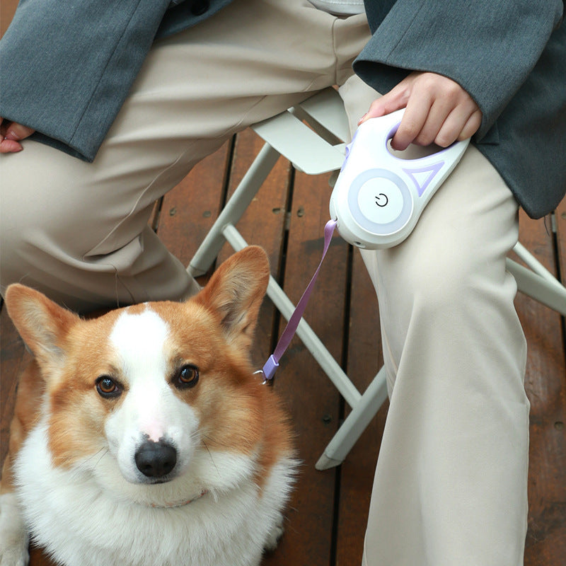 Correa para perro, correa retráctil y Collar para perro, foco, cuerda de tracción para perros y gatos automática para perros pequeños y medianos, producto para mascotas