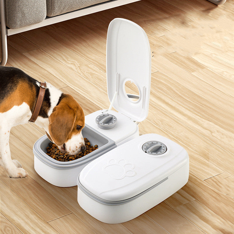 Alimentador automático para mascotas, dispensador de comida inteligente para gatos y perros, temporizador, tazón de acero inoxidable, Alimentación automática para perros y gatos, suministros para mascotas